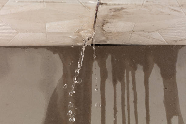 Professional Structural Drying technician working in Saddle River, NJ